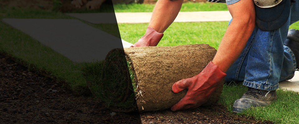 Hillsborough Landscapers